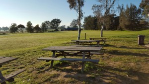 ViewOfOval