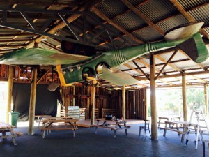 PlaneHanging